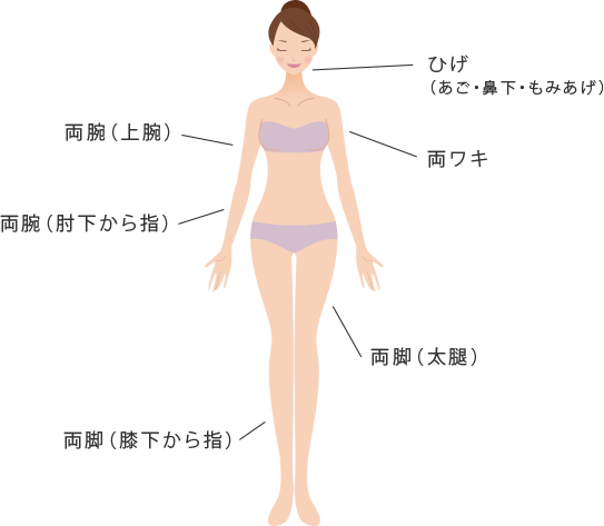 レーザー脱毛できる部分